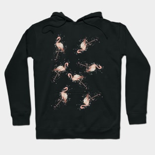 Fabulous Flamingo print Hoodie